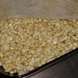 Kako klijati kukuruz